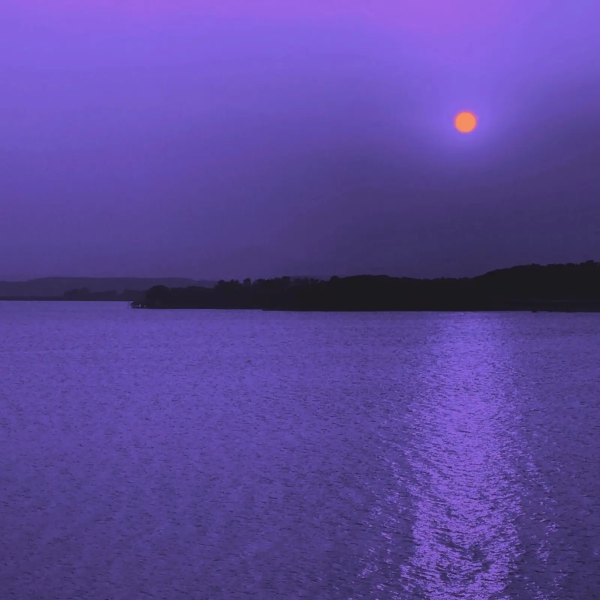 test-001 (Copy)